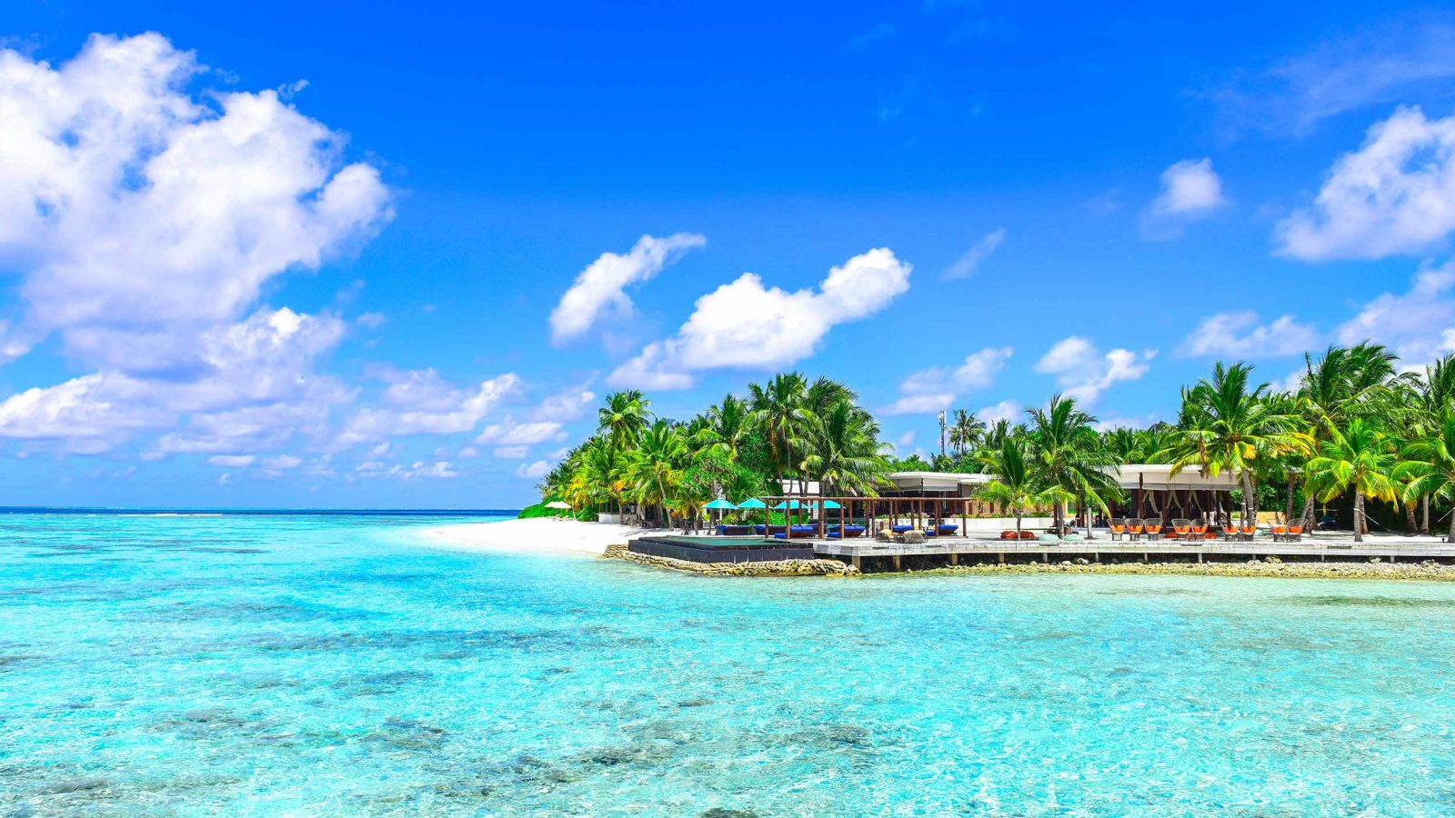 Tropical Beach Vacation